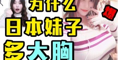 日本美女胸：探索日本美女胸部的魅力与特点