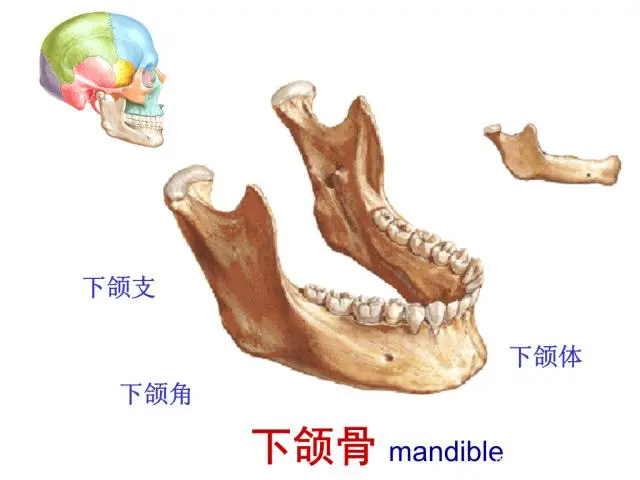 蓉城优课堂给力a_英语亮点给力提优听力_给力的欧美女优